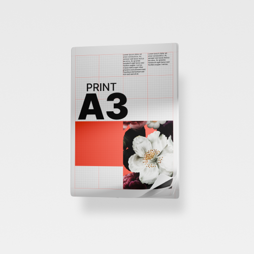 Print A3+ Color